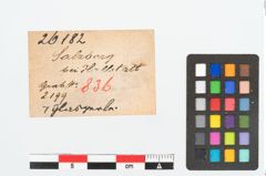 Etikett zu Glasperle (NHMW-PRAE-026182)